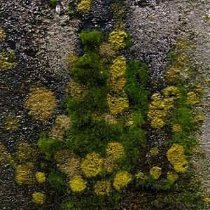 Meet your Posher, Cory